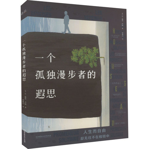 （正版包邮）一个孤Du漫步者的遐思9787576315257北京理工大学出版社