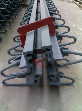 桥梁伸缩缝 桥梁毛勒缝C40 C60 C80各种型号  TST伸缩缝GTF伸缩缝