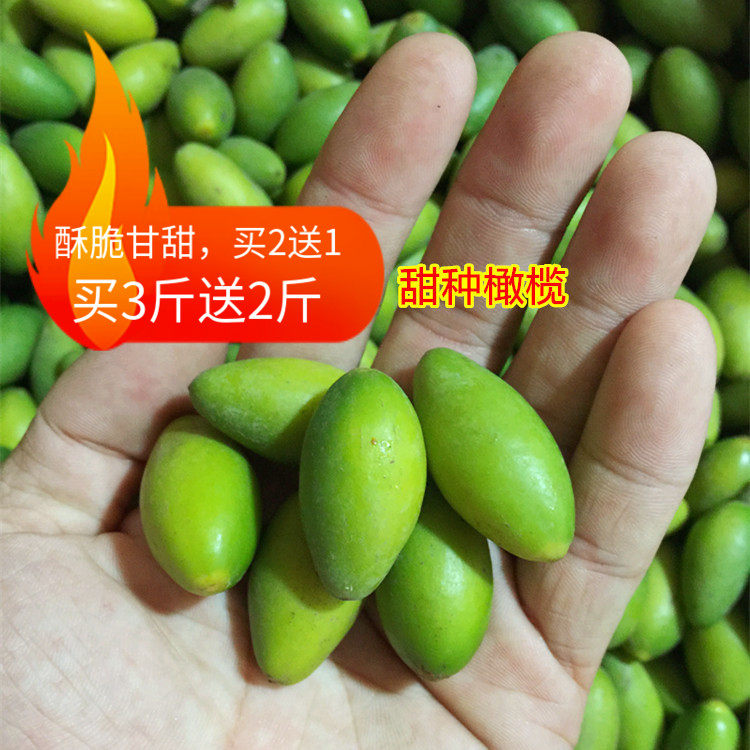 潮汕外公新鲜青橄榄青果500g 甜种橄榄酥脆无渣回味甘甜生吃橄榄