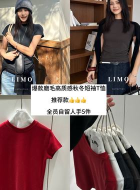 LIMO-自留爆款升级版5色秋冬磨毛高质感小中领短袖T恤YS252481