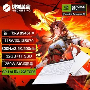 MECHREVO/机械革命 旷世X 旷世X 5060/5070 蛟龙2025款游戏笔记本