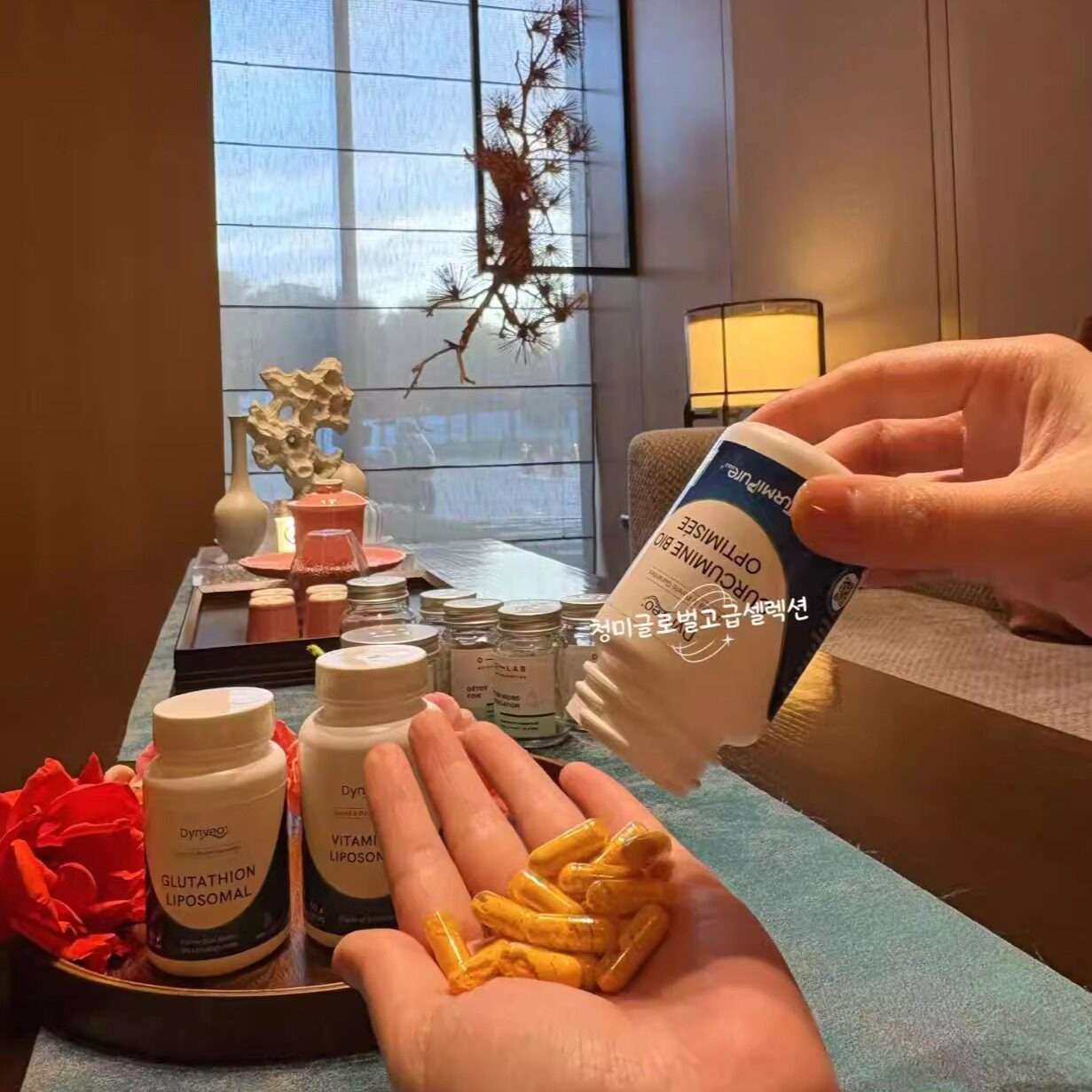 法国DYNVEO有机优化姜黄素胶囊60粒/瓶/醉茄/磷虾油/益生菌