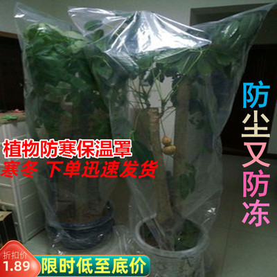 植物防冻孙凡雅御寒防冻罩