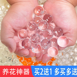 泡大珠透明水宝宝玩具海绵宝宝吸水珠无土水培植物海洋球星空瓶子