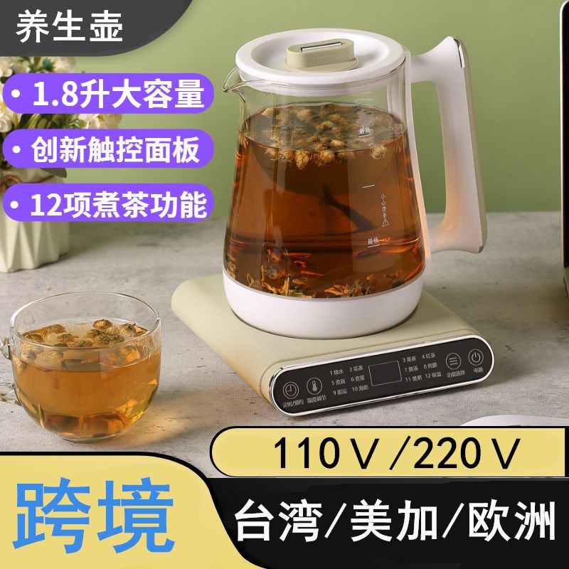 110V养生壶多功能家用美规煎药壶