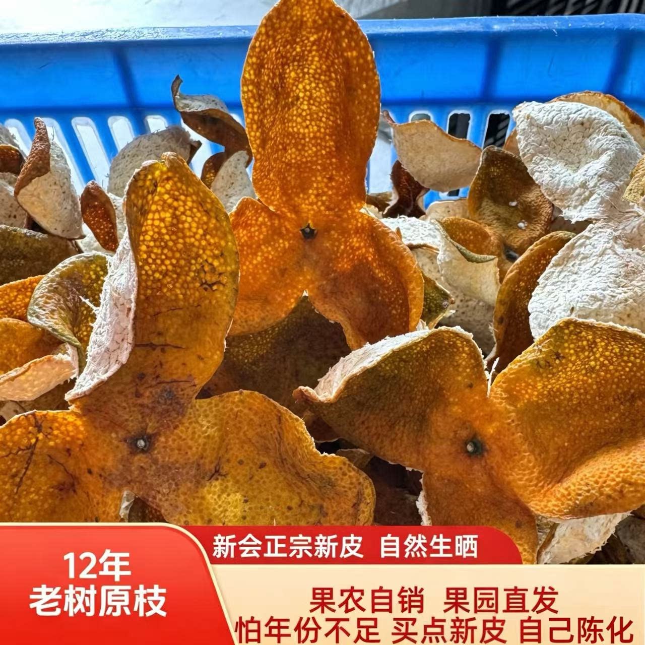 正宗新会新皮2025年12年老树原枝柑皮大红柑皮新会特产果皮整皮