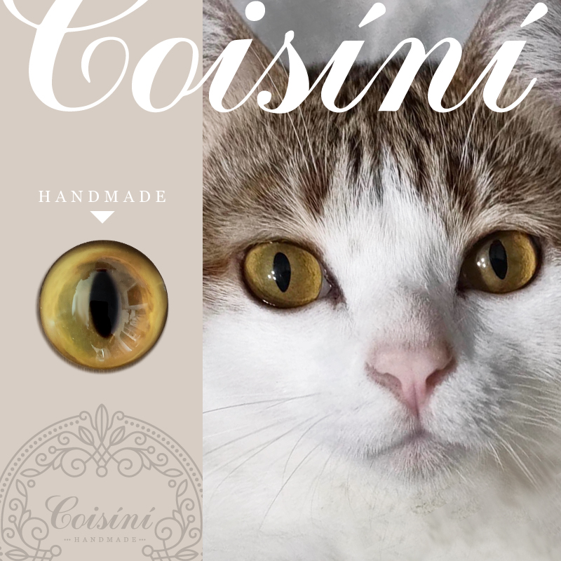 原创 /羊毛毡 /手作 /兽瞳仿真玻璃眼睛 西伯利亚猫