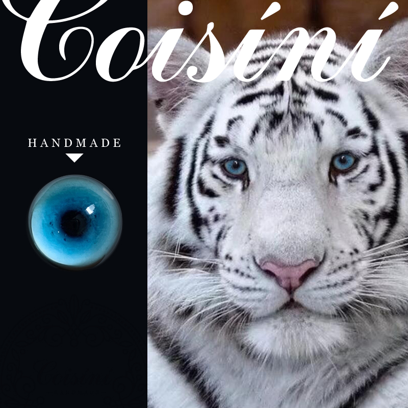 羊毛毡戳戳乐冰蓝兽瞳DIY