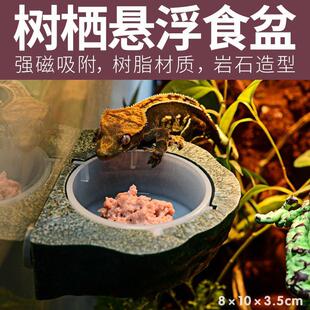 睫角守宫食盆盖勾亚巨人守宫水盆磁力悬浮果泥吸盘树栖型喂食器