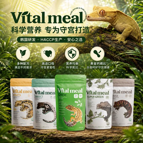 韩国Vitalmeal睫角守宫爬宠果泥