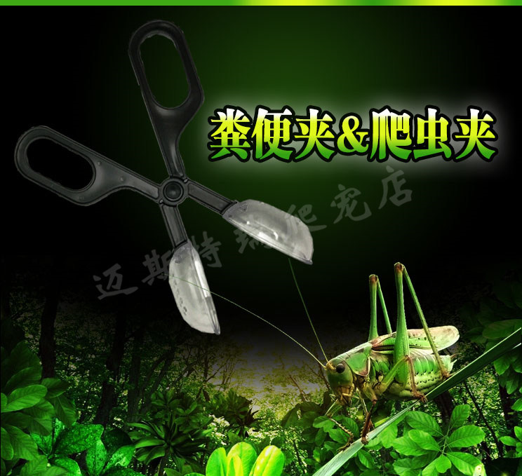 爬虫昆虫蟋蟀杜比亚蟑螂镊子爬宠蜥蜴蜘蛛守宫喂食清理夹粪便在类目 宠物/宠物食品及用品, 爬虫/鸣虫及其用品, 爬虫/鸣虫用具中 - 来自Buy2taobao.com提供专业的淘宝代购服务