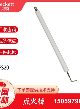 利雅路FS10/GS10点火电极离子探针FS20/GS20点火棒离子棒RS34RS50