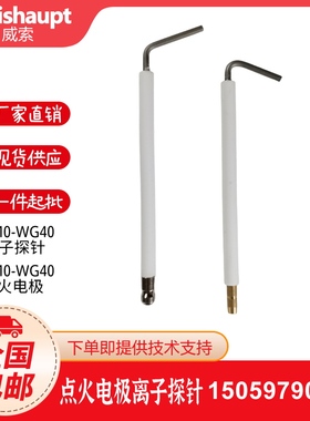 Weishaupt威索WG10/1-D/20/30/40N点火电极点火棒离子探针离子棒