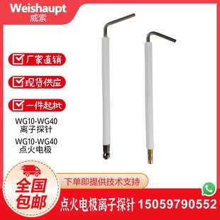 Weishaupt威索WG10 40N点火电极点火棒离子探针离子棒