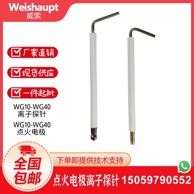 威索燃烧机专用点火电极