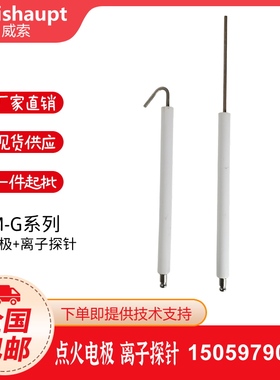 Weishaupt威索WM-G20 WM-G10 WM-G30 WM-G40点火电极 离子探针
