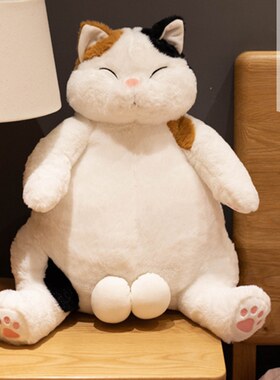 大肥猫公仔毛绒玩具胖猫懒猫玩偶