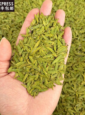 黄绿板乌牛早 2026新茶开园头采清香型125克罐装