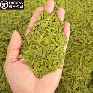 黄绿板乌牛早 2026新茶开园头采清香型125克罐装