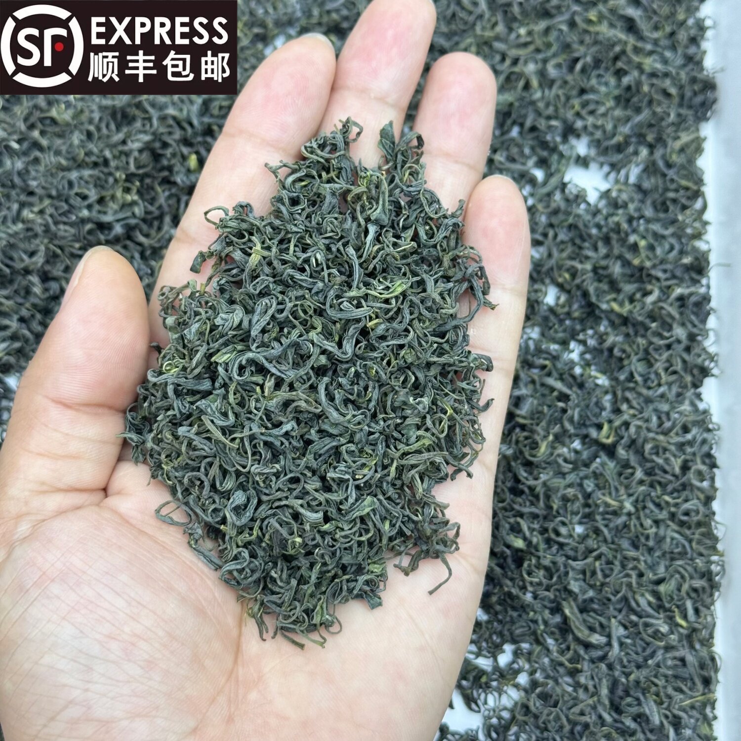 2026松阳香茶龙井43炒青工艺口粮茶味浓板栗香500克袋装