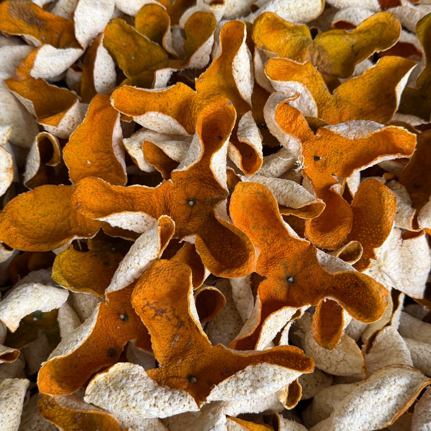 2025新会大红皮新皮双水小冈茶枝柑500克罐装,茶,陈皮茶,淘宝优惠券,粉丝福利购,淘宝优惠卷