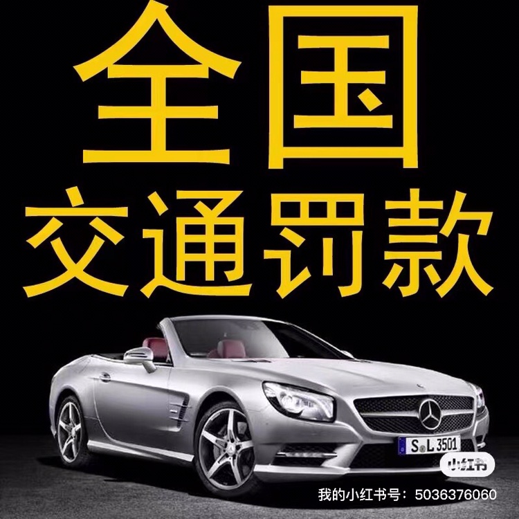 全国违章咨询车辆年检代办验车提档服务外牌汽车过户交通违章咨询