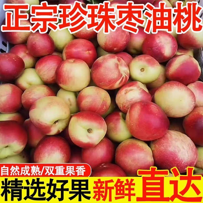 运城正宗珍珠枣蜜桃纯甜油桃新鲜水果孕妇小桃子(个别有瑕疵)