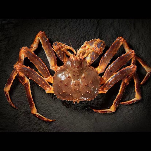 冰鲜帝王蟹新鲜速冻大螃蟹海产冷冻大蟹水产冰冻蟹保鲜冻蟹日料店