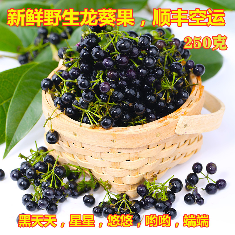 顺丰包邮 野生鲜龙葵果1000克新鲜龙葵野果子黑天天 药食两用水果