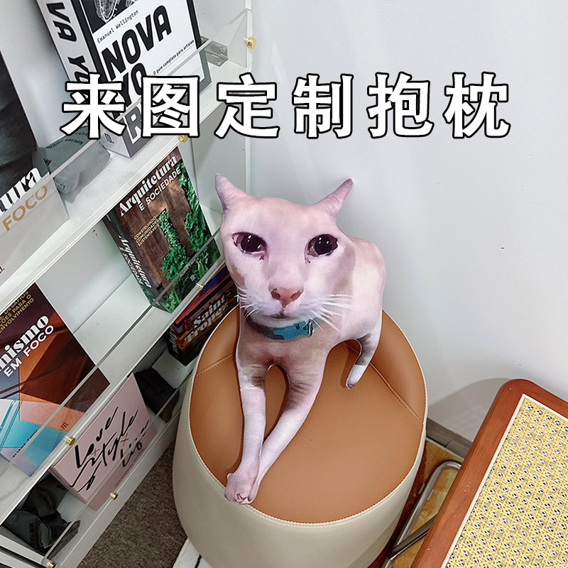 丑橘不丑表情包抱枕玩偶公仔靠垫来图定制搞笑沙雕猫咪喵星人周边