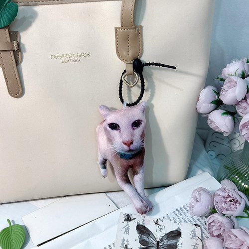 丑橘不丑表情包玩偶抽象老吴嘴替语音钥匙扣猫咪头像挂件定制周边
