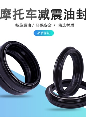 适用于胡斯瓦纳WR250 300 TE310 449 511前叉减震油封摩托48*58*9