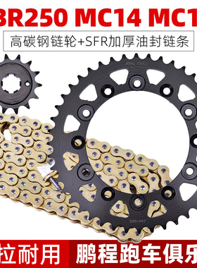 适用本田CBR14 17期VTR VTZ VT250F摩托车大飞轮齿小链轮全套链条