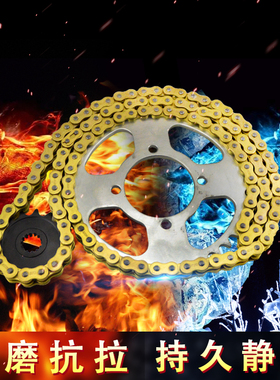 适用铃木猪TU250X望江GZ GN250摩托车大牙盘小齿轮链轮套链条配件