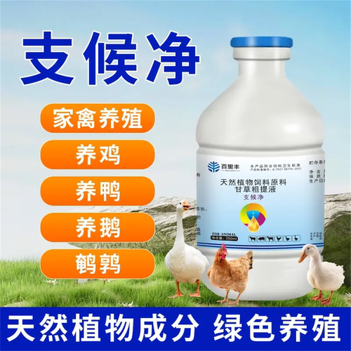 支喉净鸡鸭鹅鸽子家禽通用