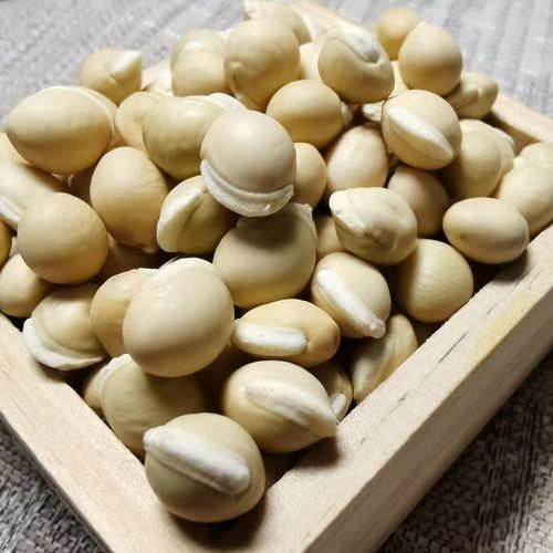 湖北蕲春小白扁豆煮粥杂粮药用