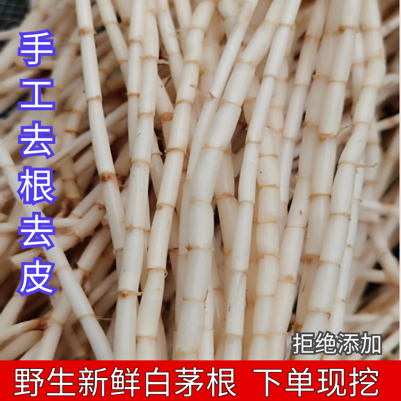 纯野生白茅根茅草精选根新鲜现挖去皮根丝茅根干货中药材500g包邮_虎窝淘
