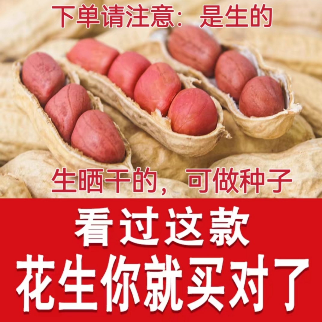 河源忠信天然新鲜干花生带壳晒干原味农家自种四粒红生花生