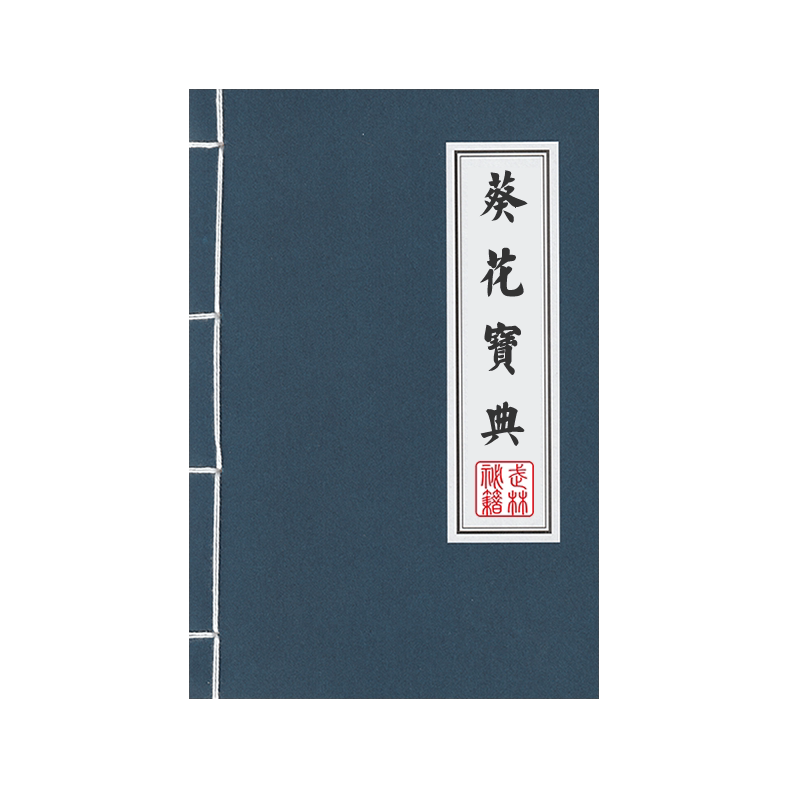 大本A4线装记事本横线葵花宝典降龙十八掌复古学生武功秘籍笔记本