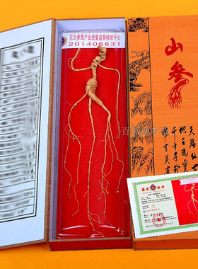 人参礼盒山参礼盒移山参非林下参山参10元带手提袋两盒包邮