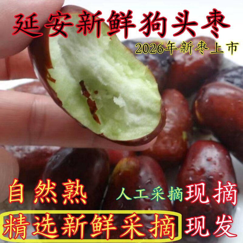 【顺丰发货】2026年延安新鲜狗头枣脆枣鲜枣青枣脆甜陕北延安长枣