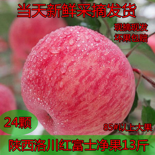 2025年新鲜 苹果现摘现发延安苹果大洛川红富士脆甜多汁山地苹果