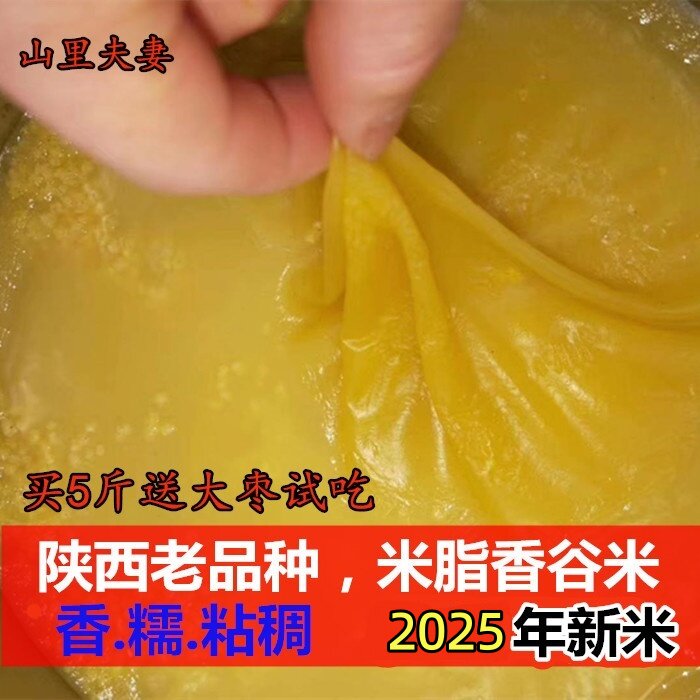 黄小米延安油小米老品种香谷米2025年新米脂小米原粮香谷米500g