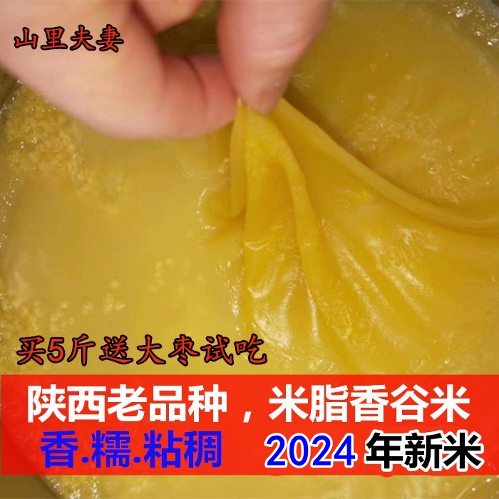 香谷米2024年新米陕北油小米很香