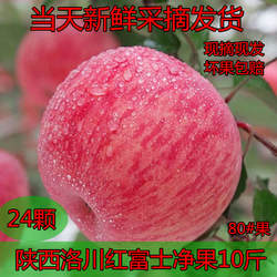 2025年新鲜的苹果现摘现发延安苹果洛川红富士脆甜多汁 山地苹果