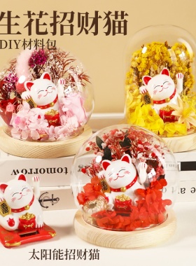 招财猫永生花diy手工材料包水晶球玻璃罩小夜灯微景观摆件礼物