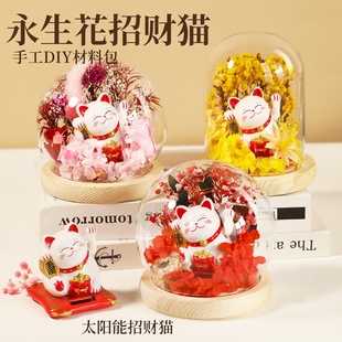 招财猫永生花diy手工材料包水晶球玻璃罩小夜灯微景观摆件礼物