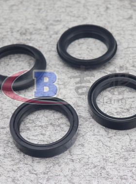 VTX1300 CBR893/919 STX1300 CRM250 45X57 前减震油封 防尘盖