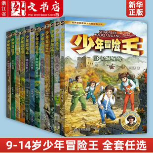 全套16册9 少年冒险王 14岁青少年探险小说儿童故事书野外生存科学自然科普知识生命教育小学生三四五六年级课外书 秦始皇陵之谜