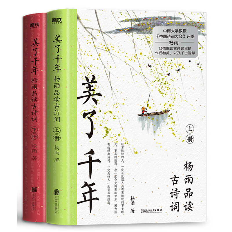 正版 美了千年 杨雨品读古诗词(上下册)中南大学教授杨雨 带我们读懂